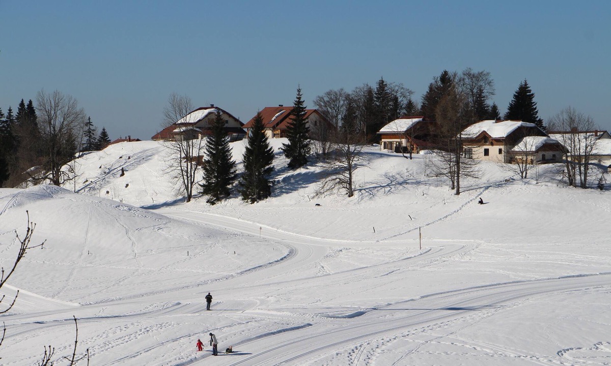 Lamoura Apartment | Studio mountain atmosphere, nice views of the undulating forested ridges