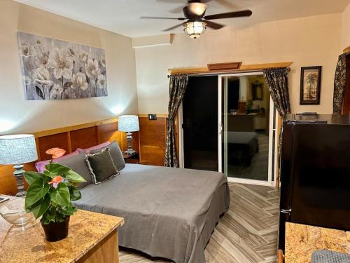 Kehena Apartment | Studio Phoenix Pet Friendly Near Black Sand Beach & Volcanic Forest