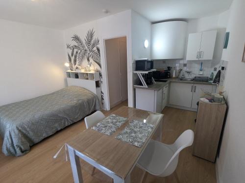 Amelie-les-Bains-Palalda Apartment | Studio Rue Castellane pour Cure ou Tourisme Vert à 2 min des Thermes