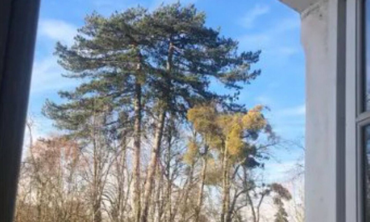 Rambouillet Apartment | STUDIO Rambouillet/wifi