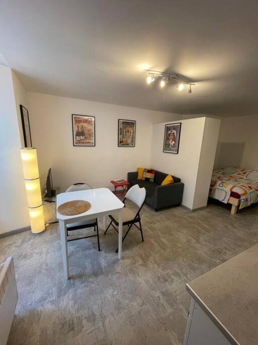 Doue-la-Fontaine Apartment | Studio RdC parking privé gratuit