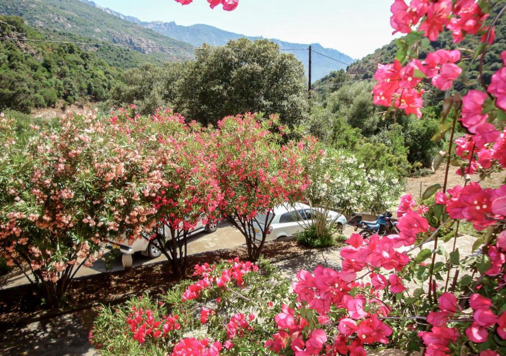 Serriera Apartment | Studio Residence Cabanaccia Studio 38m² by Interhome