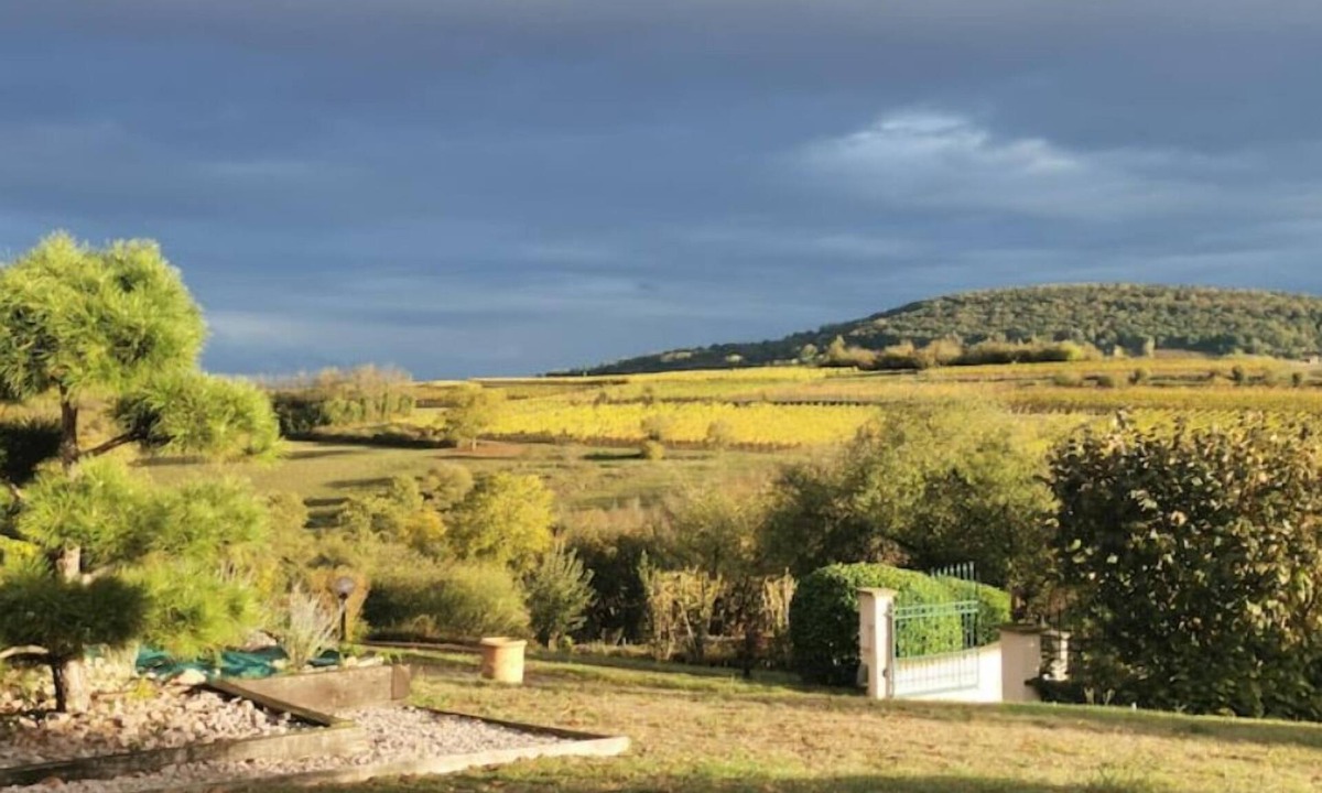 Rosheim Apartment | Studio Spacieux, Route des Vins