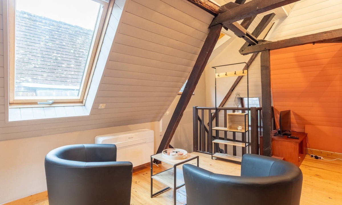 Salies-de-Bearn Apartment | Studio Tess Apartment with Wi-Fi