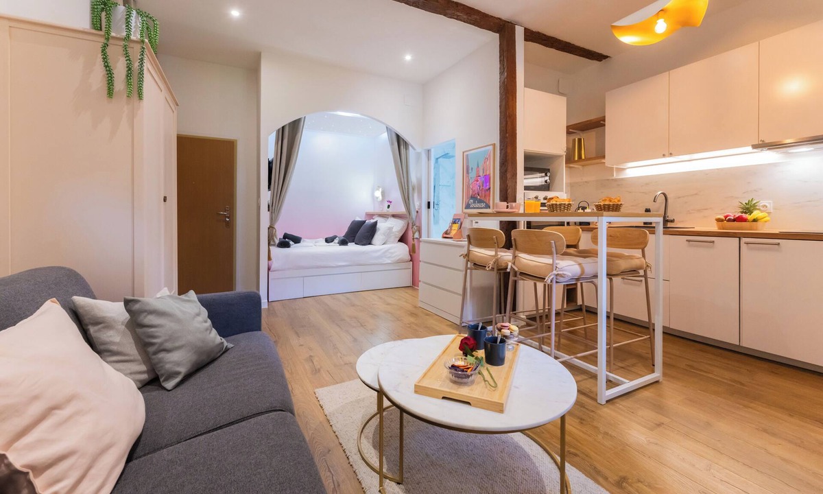 Saint-Cyprien Apartment | Studio Toulouse Capitole - La Voute Rose