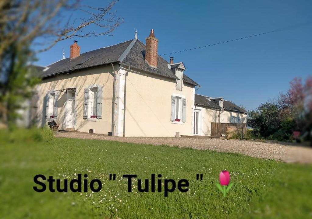 Pays d'Issoudun Apartment | studio 'tulipe' dans le Berry