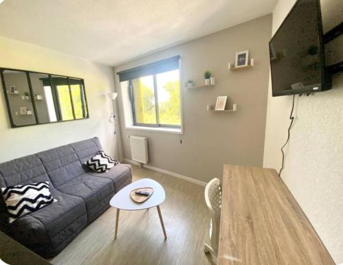 Montaudran - Lespinet Apartment | Studio WIFI TÉLÉ parking privé ,ENTREE AUTONOME