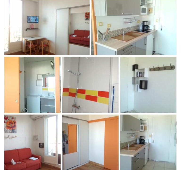 Aix-les-Bains City Center Apartment | Studios d'Albion