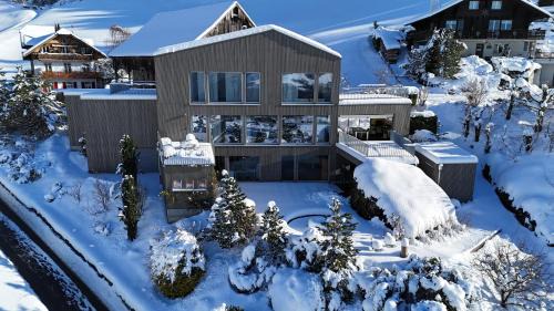 Morschach Villa | Stunning 4BDR Villa- Private Sauna & Lake View