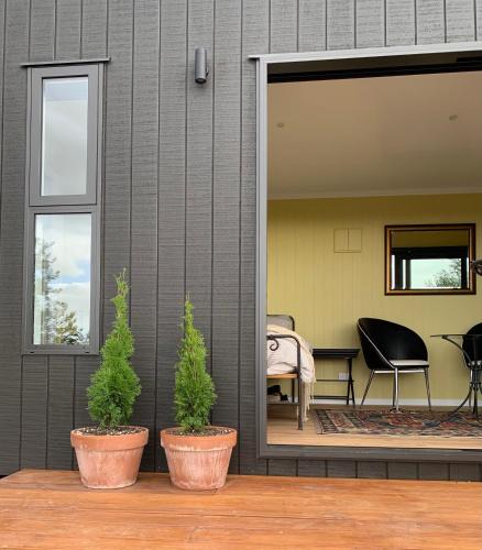 Far North District House | Stunning Coastal Olive Grove