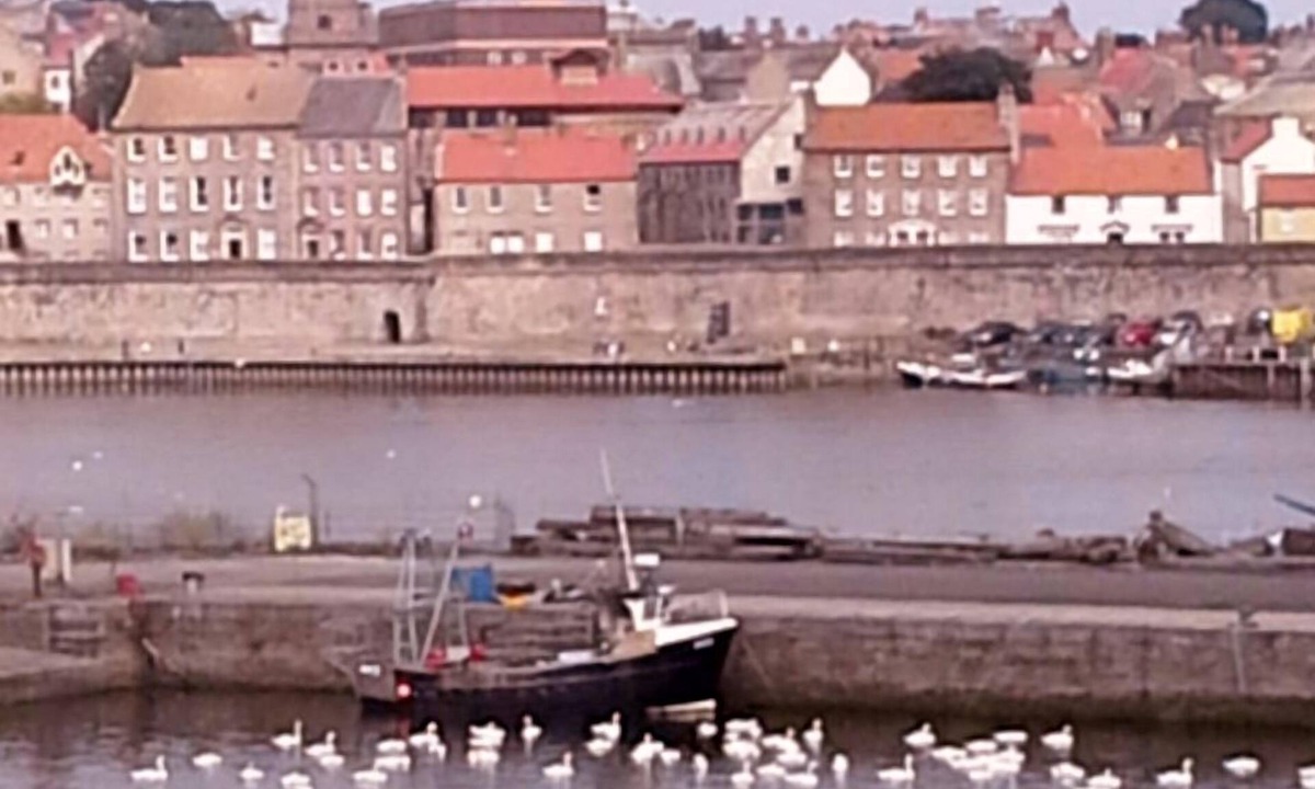 Kelso Apartment | Stunning harbour side Gold graded apartment for two with secure parking