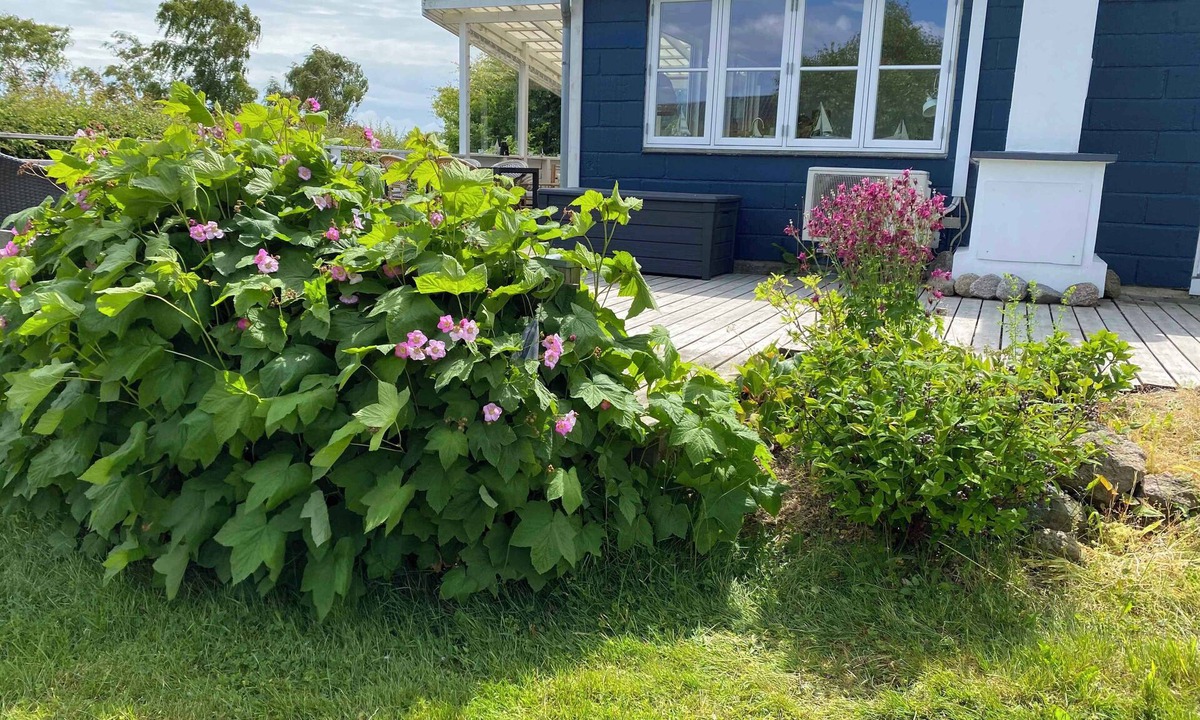 Sandkaas House | Stunning home in Unknown with 3 Bedrooms and WiFi