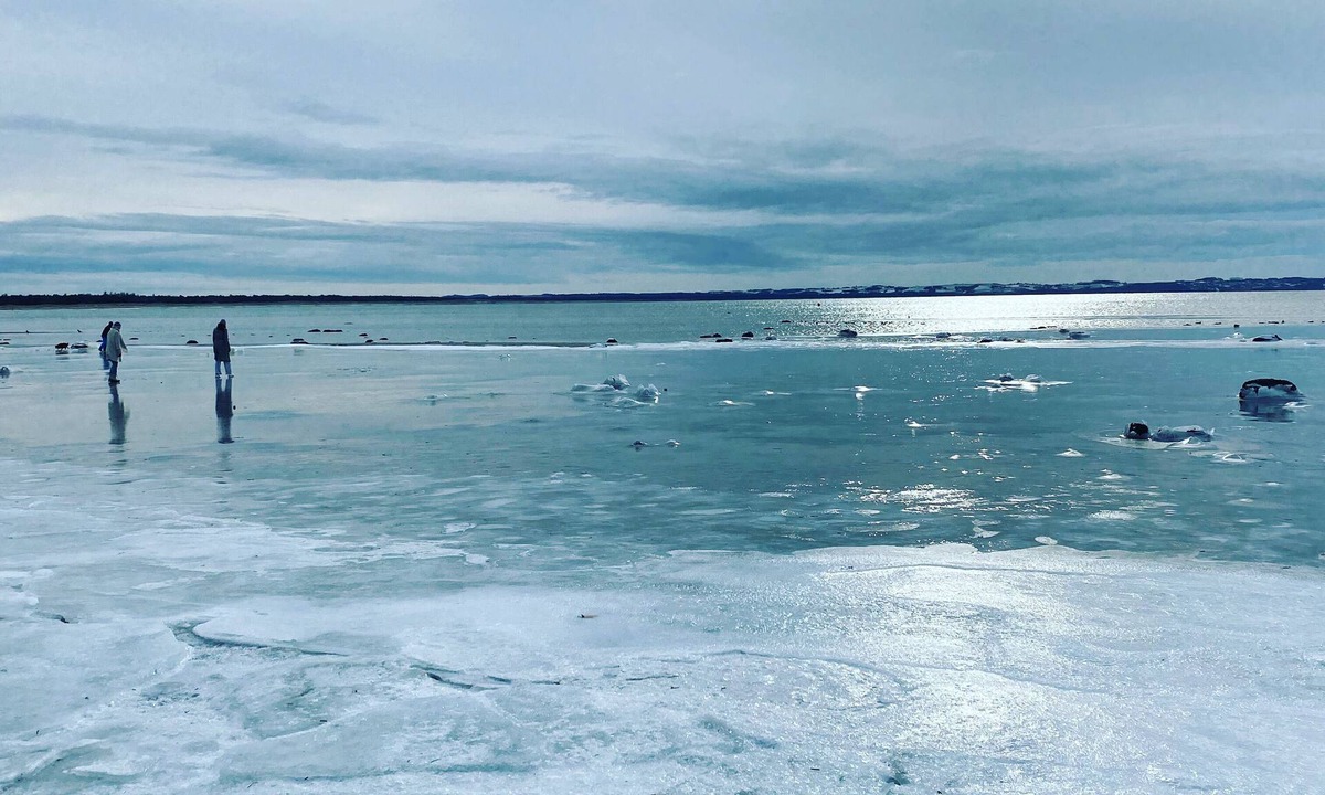 Lumsas Cabin | Stunning Ocean View and Private Beach