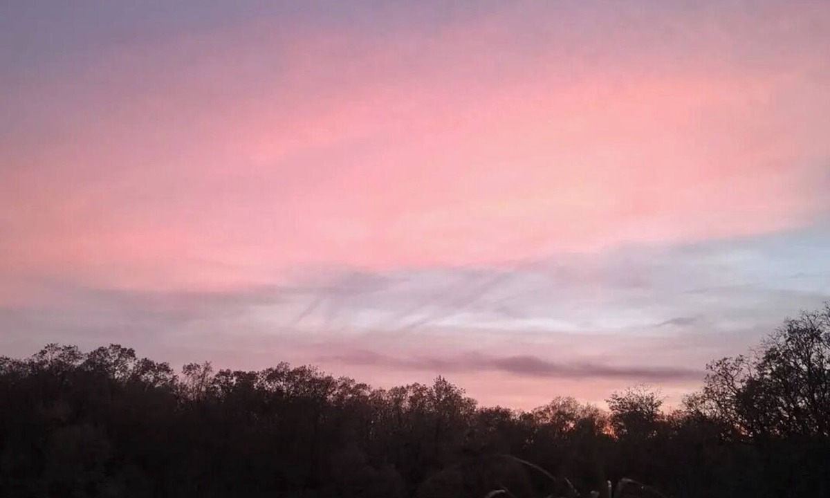 Jacksonville RV Rental | Stunning private RV spot. Bring your own rig!