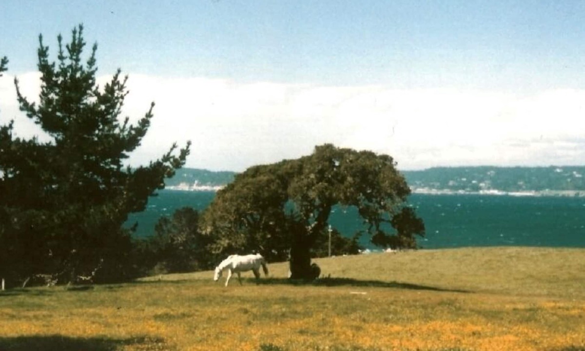 Carmel House | Stunning Ranch Home with Ocean Views