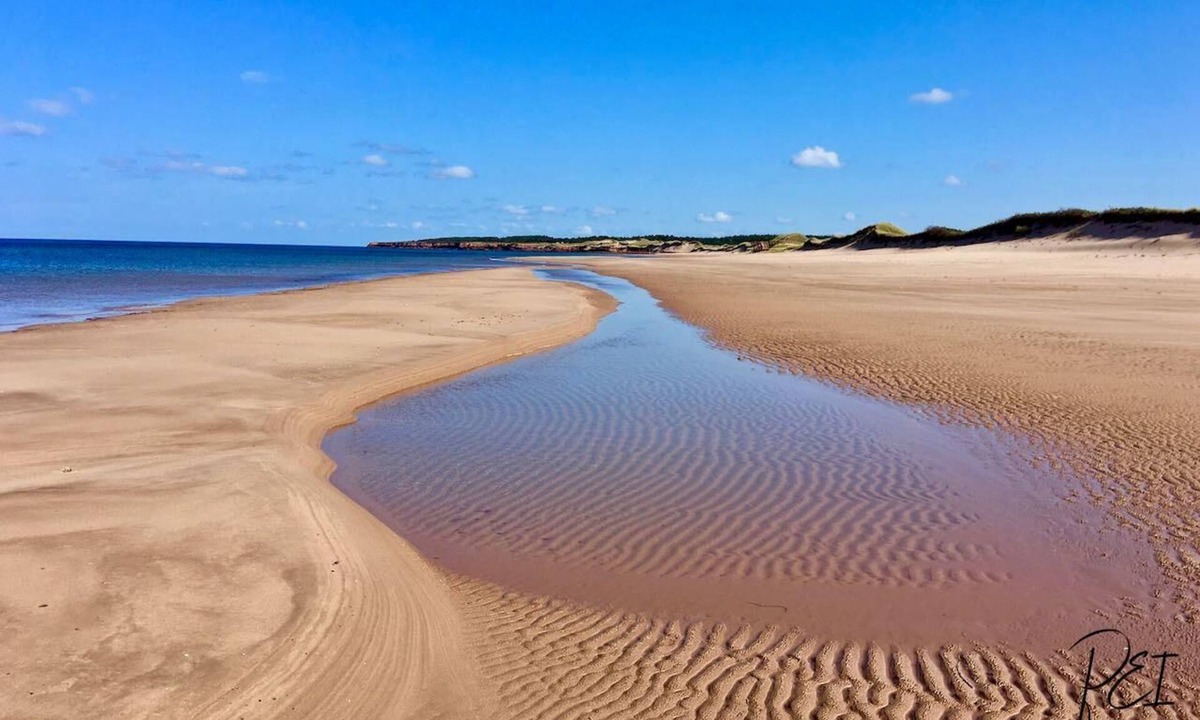 Darnley House | Stunning, upscale on North Shore