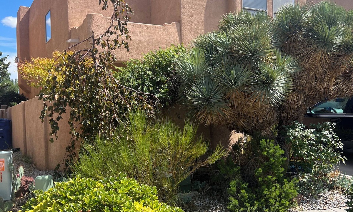 La Luz Del Sol House | Stunning views of sunrises and hot air balloons. Zen garden & a hot tub await.
