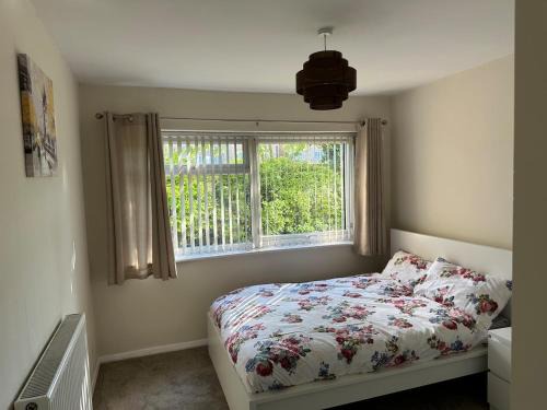 Bromley Common and Keston Apartment | Stylish 1-bedroom Apartment