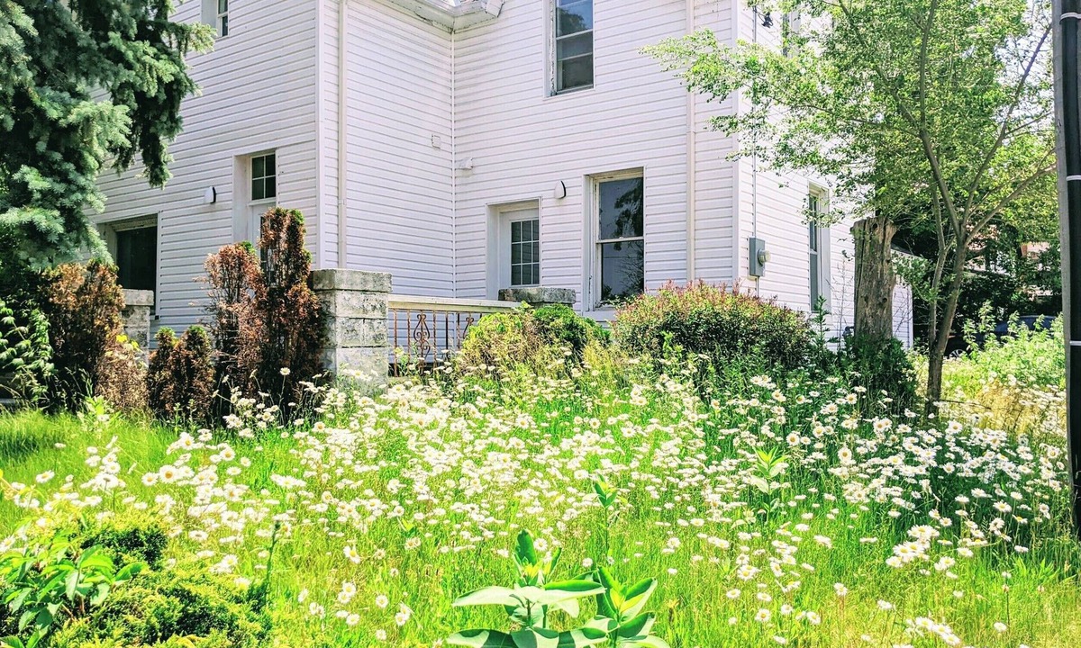 Barrie Apartment | Stylish & Modern House ♥ Walking distance to Barrie Beach!