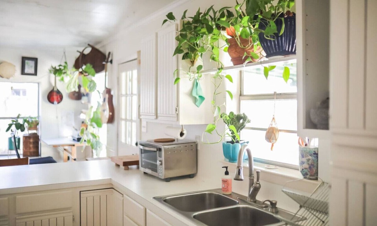 Georgian Acres Apartment | Stylish Musician`s Flat With Creekside Garden