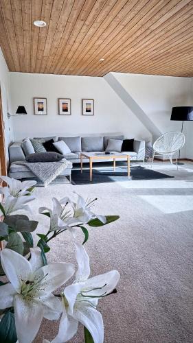 Hejls Apartment | Stylish vacation home - close to sea and nature