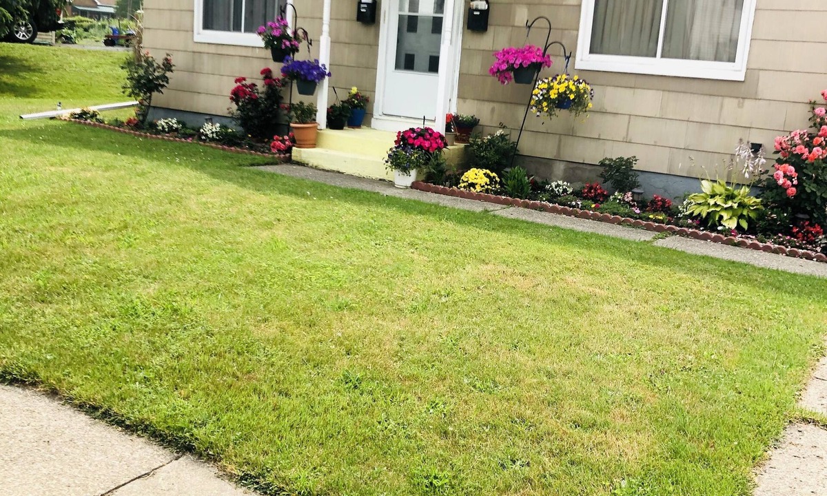 Cheektowaga House | Stylist cozy Apartment [Smoking, Vaping,E-cigarettes Not Allowed]