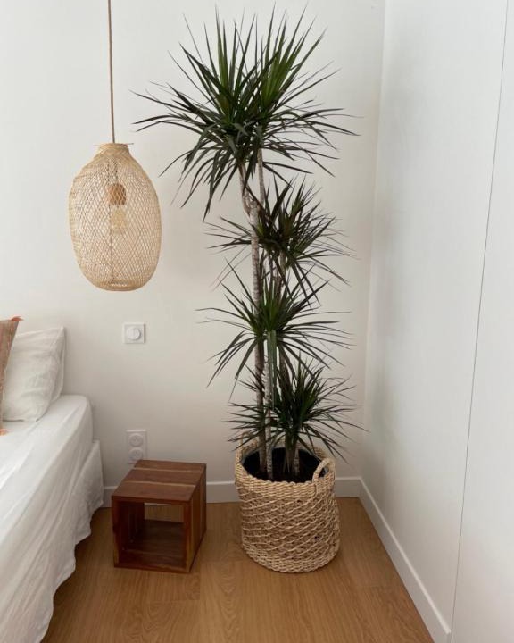 Reyrieux House | Suite 671