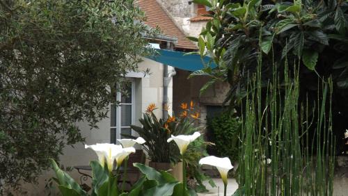 Luzille Bed & Breakfast | Suite Luzilloise
