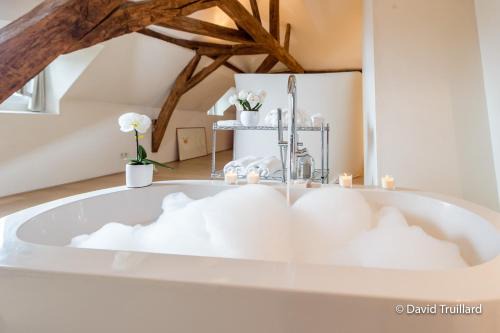 Charleville-Mezieres Apartment | Suite Mana OHANA - Luxe et Authenticité juste à coté de la Place Ducale avec Parking privé