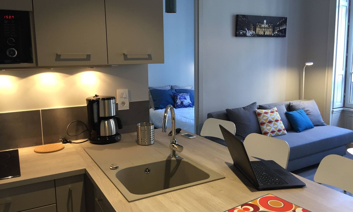 Grande Cote - Annonciade Apartment | Suite Opera Design - Celect'In Lyon - Hyper center - 31m2 modern & comfortable