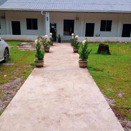 Sukau Bed & Breakfast | Sukau tomanggong view bed & breakfast