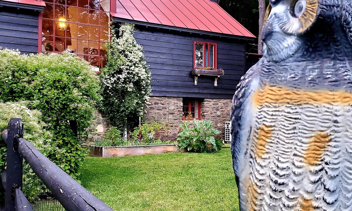 Mount Tremper Cottage | summer time available