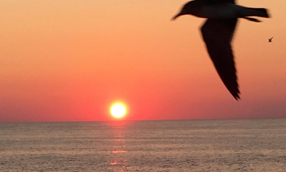 Miramar Beach Condo | Summertime Is Almost Here! Book Now!