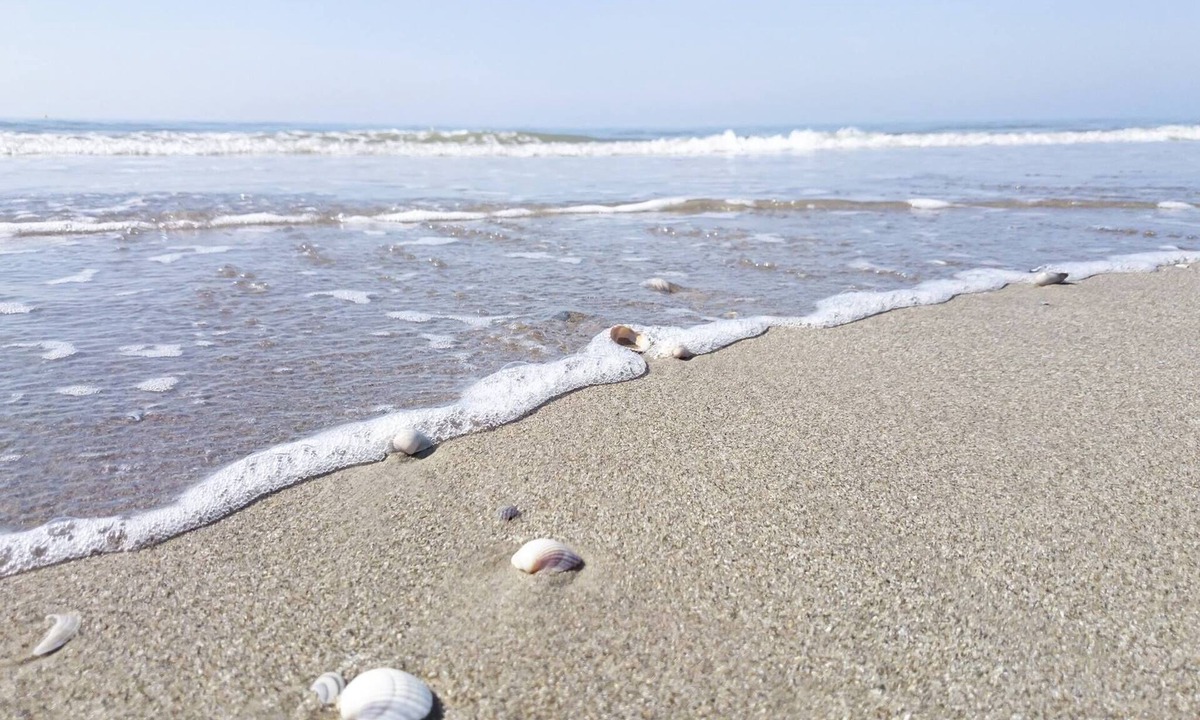 Berck-sur-Mer Apartment | SUN RAY TO SHARE