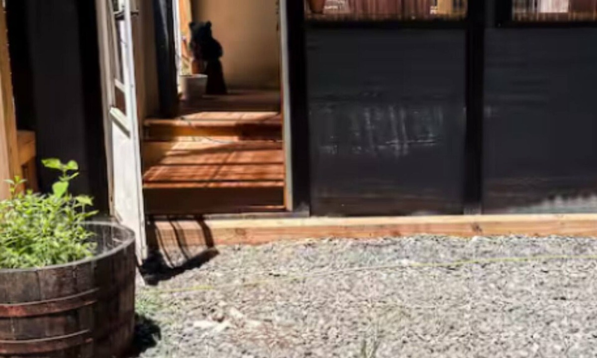 Jefferson Cottage | Sun Soaked Tiny House Cottage in Charming Jefferson