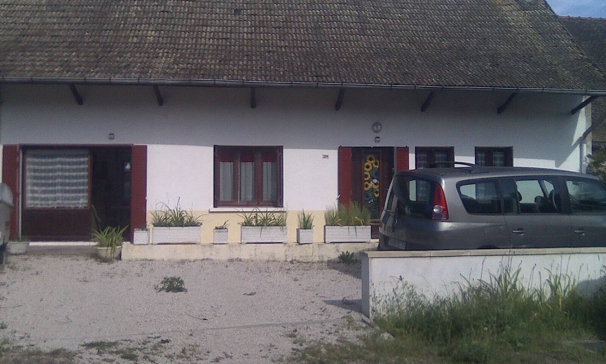 Ormes House | Sunflowers in burgundy