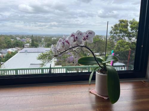 Rochedale South House | Sunlit Lodge