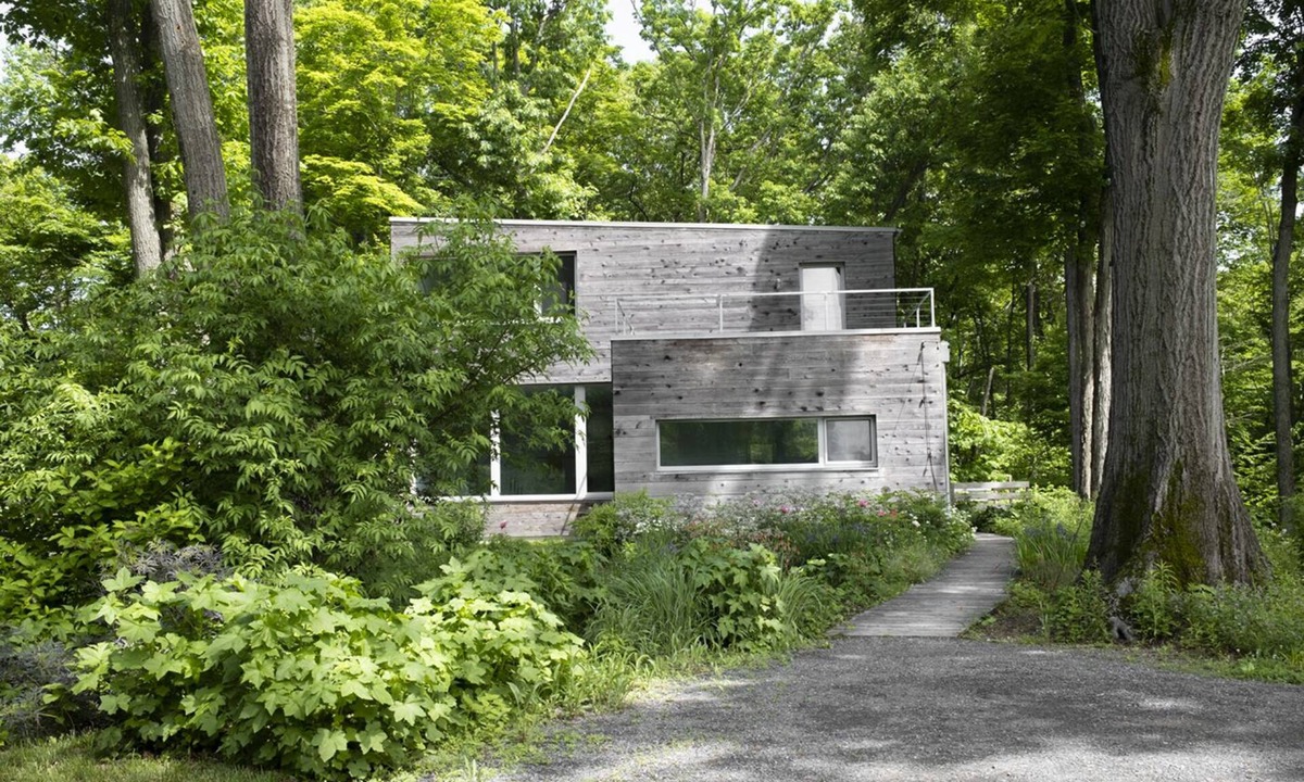 Tivoli House | Sunny Clutter Free Modern Home