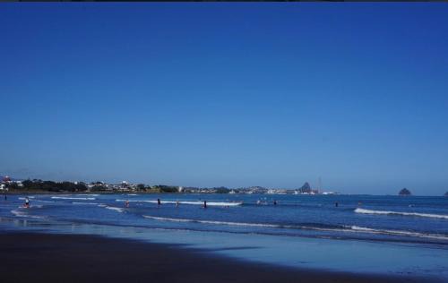 Fitzroy House | Sunny in Fitzroy