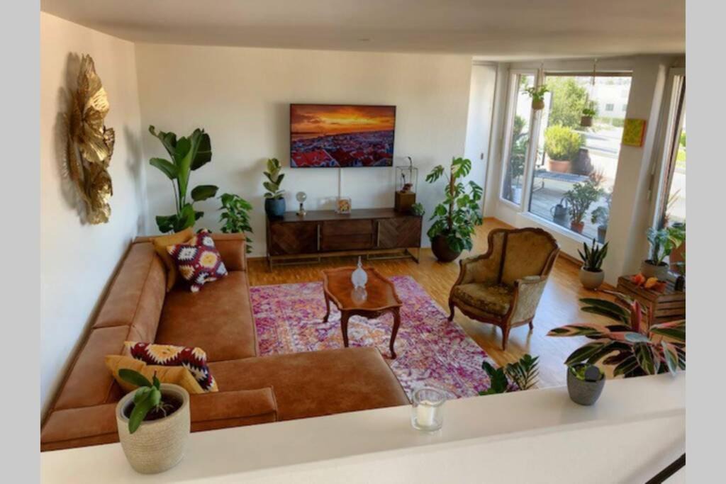 Wettswil Apartment | Sunny Maisonette Penthouse with Big Balcony & Great View