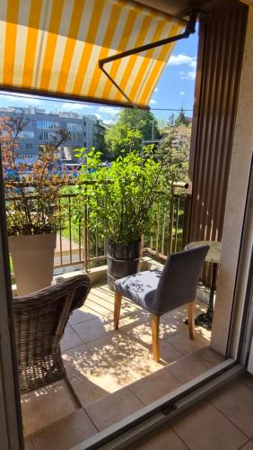 Versoix Apartment | Sunny Place Geneva 15 min Train