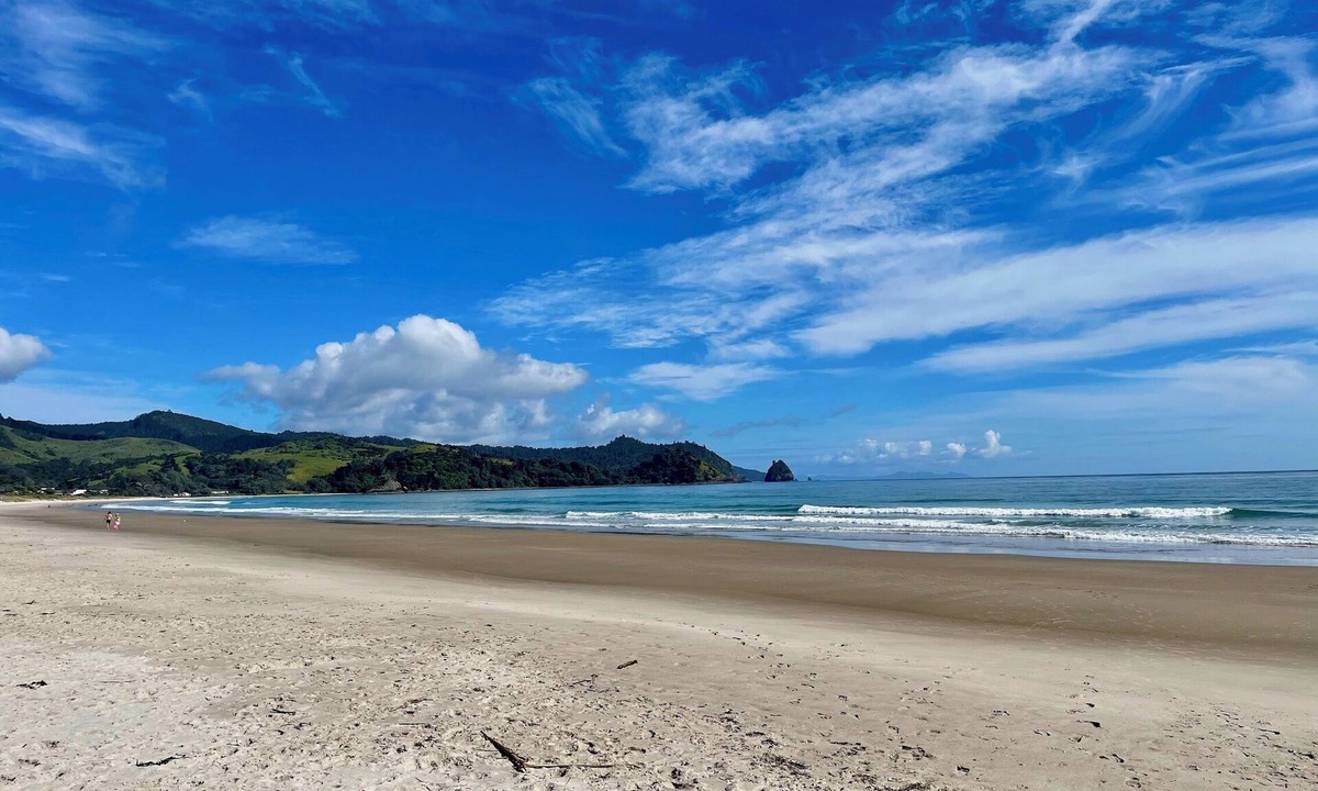 Whangapoua Cottage | Sunny relaxed beach sleep out - pet friendly