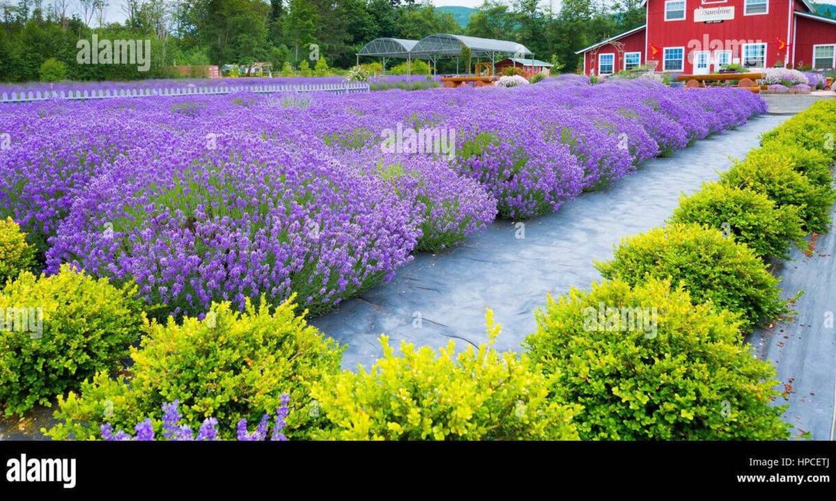 Sequim House | Sunny Sequim Get Away