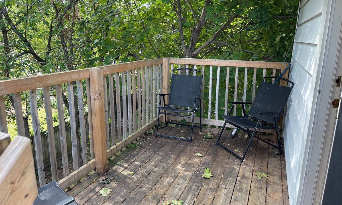 Kingston Apartment | Sunny & Spacious 3 Bedroom Apartment