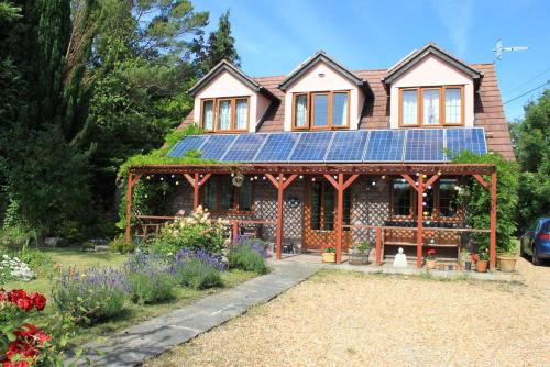 Pill Apartment | Sunnyside