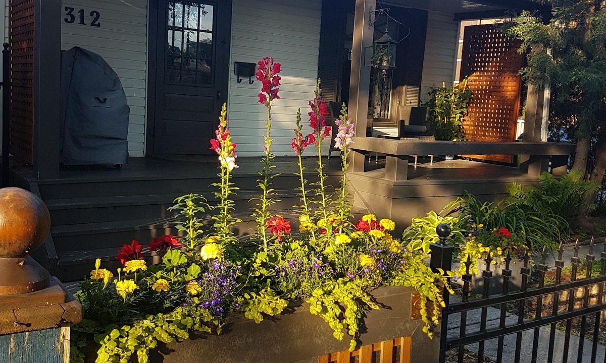 Sunnyside Cottage | Sunnyside Urban Cottage Oasis 2