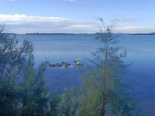 Rocky Point Apartment | Sunrise lake house