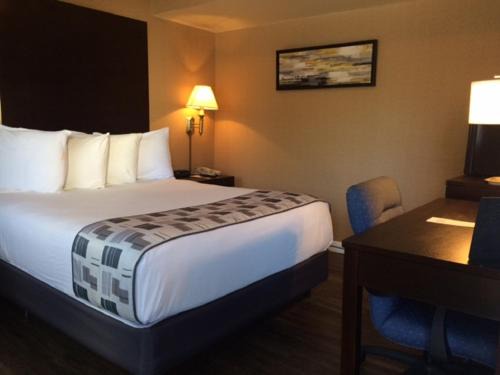 Colonie Hotel | Super 8 by Wyndham Albany