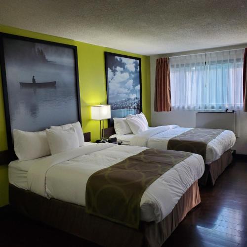 Addison Hotel | Super 8 by Wyndham Brockville