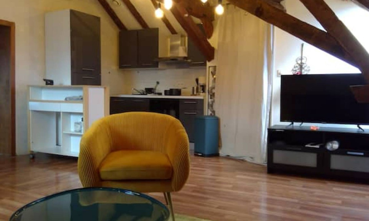 Bouchemaine Apartment | Superb apartment with Loire view under the roofs